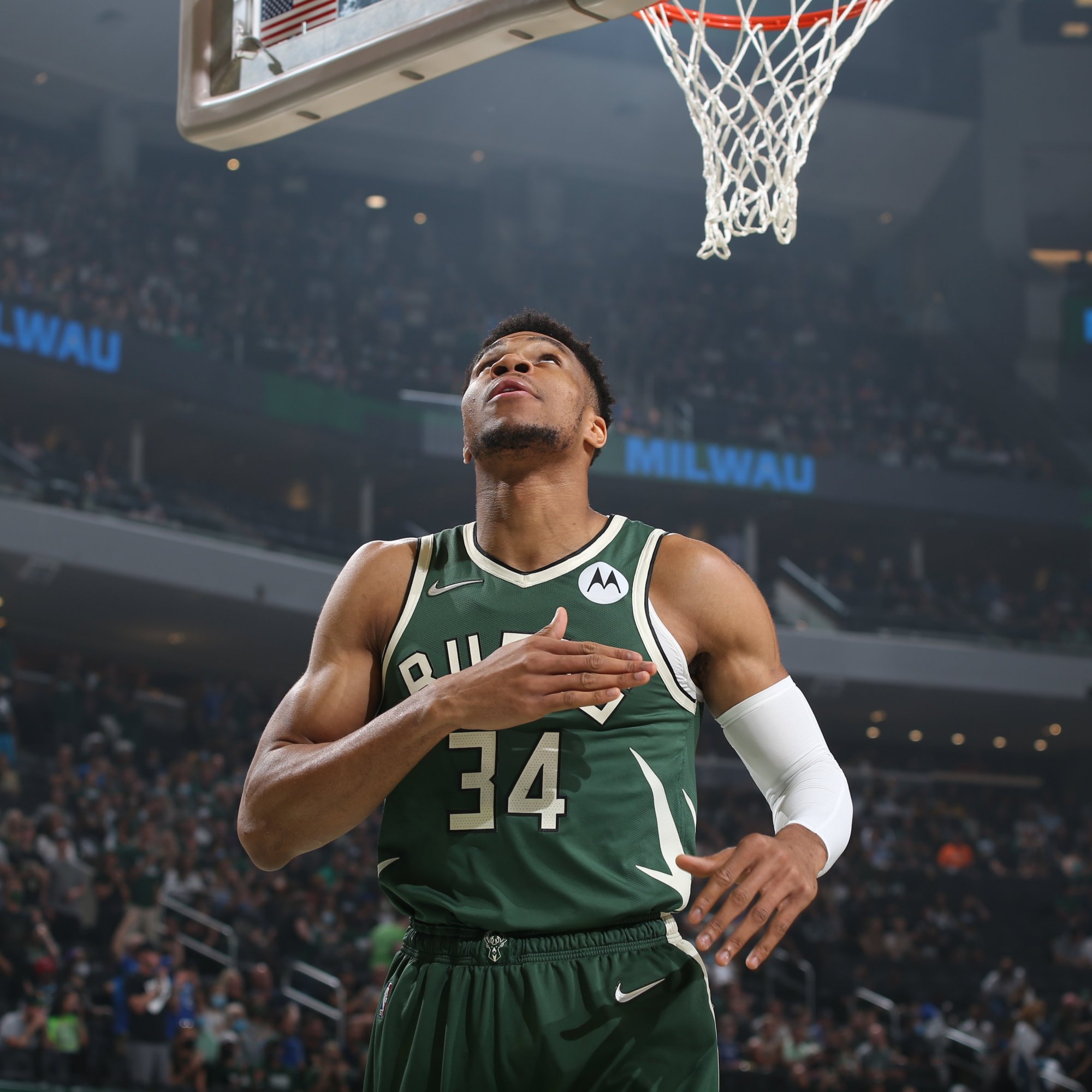 再专业化 再专业化