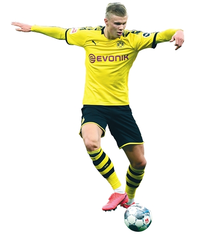 加斯佩里尼 加斯佩里尼